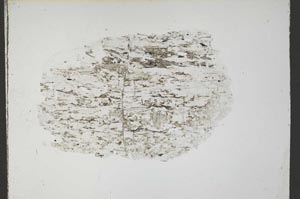 Plane Polarized, S54669