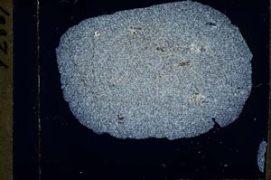 Cross Polarized, S54670