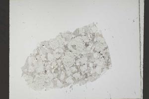 Plane Polarized, S54671