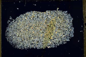 Cross Polarized, S54673