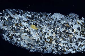 Cross Polarized, S54674