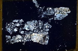 Cross Polarized, S54676