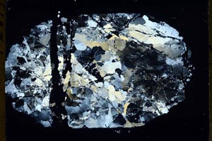 Cross Polarized, S54677