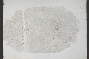 Plane Polarized, S54677