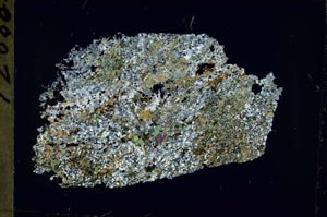 Cross Polarized, S54688