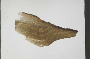 Plane Polarized, S54699