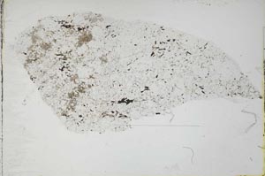 Plane Polarized, S54703