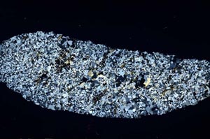 Cross Polarized, S54704