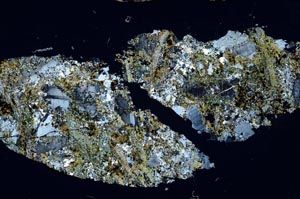 Cross Polarized, S54705