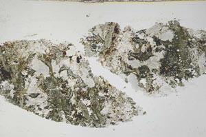 Plane Polarized, S54705