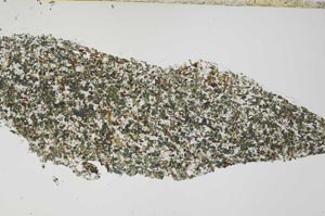 Plane Polarized, S54708