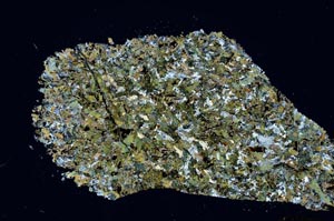 Cross Polarized, S54709