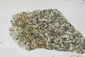 Plane Polarized, S54709