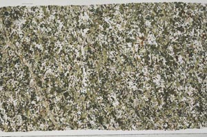 Plane Polarized, S54710/A