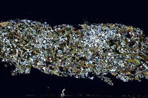 Cross Polarized, S54712