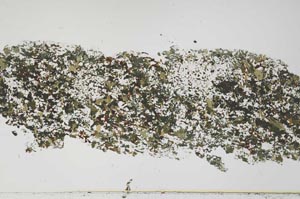 Plane Polarized, S54712