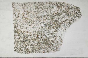 Plane Polarized, S54713/A