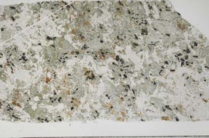 Plane Polarized, S54715/A