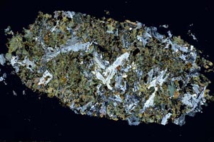 Cross Polarized, S54716