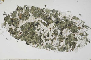 Plane Polarized, S54716