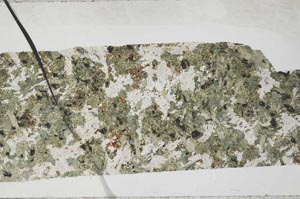 Plane Polarized, S54716/A