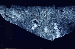 Cross Polarized, S54726