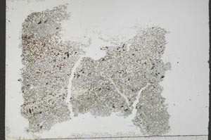 Plane Polarized, S54729