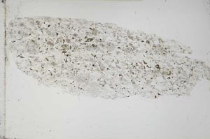 Plane Polarized, S54730