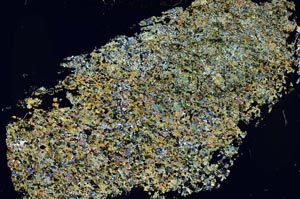 Cross Polarized, S54731