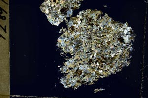 Cross Polarized, S54736