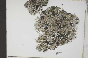 Plane Polarized, S54736