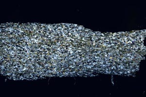 Cross Polarized, S54737