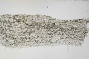 Plane Polarized, S54737