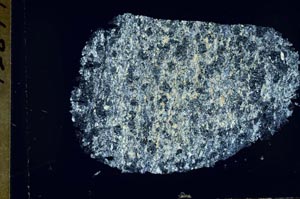 Cross Polarized, S54738