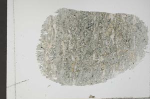 Plane Polarized, S54738