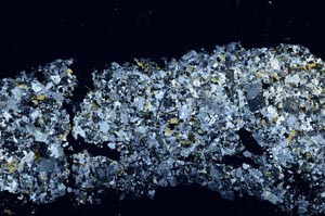 Cross Polarized, S54739