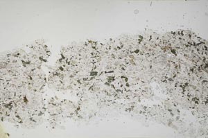 Plane Polarized, S54739