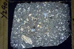 Cross Polarized, S54740