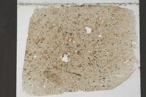 Plane Polarized, S54740