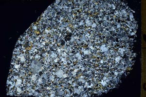 Cross Polarized, S54741