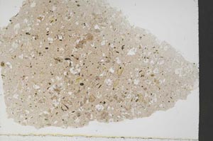 Plane Polarized, S54742