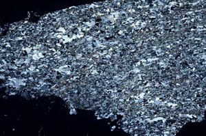 Cross Polarized, S54743