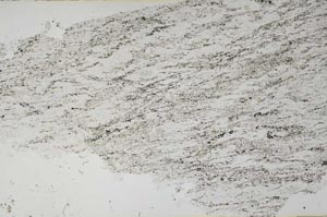 Plane Polarized, S54743