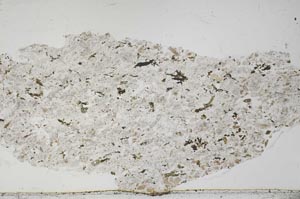 Plane Polarized, S54752