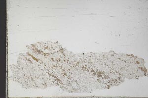 Plane Polarized, S54753