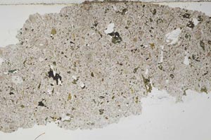 Plane Polarized, S54754