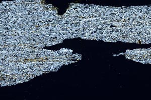 Cross Polarized, S54755