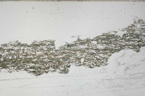 Plane Polarized, S54756