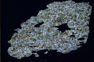 Cross Polarized, S54757