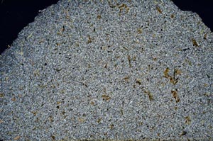 Cross Polarized, S54758